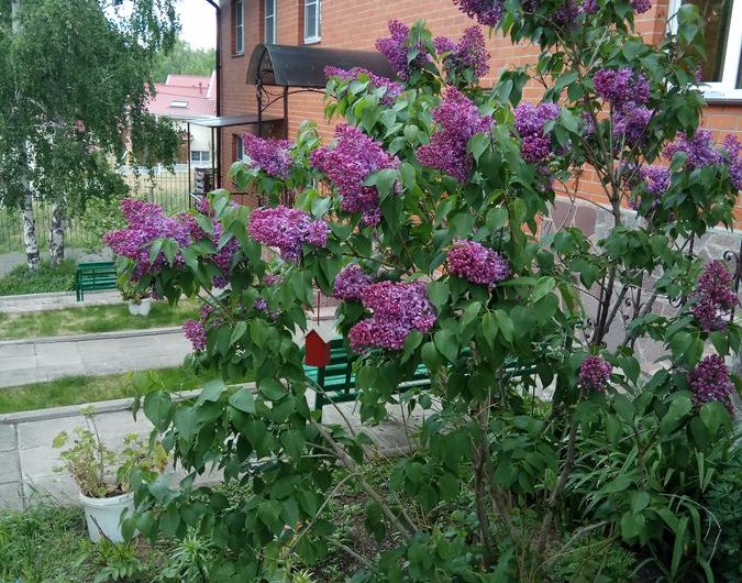 Бунгало Горная Изба, озеро Банное. Фото 16